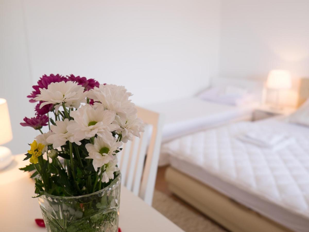 Villa Jelena トレビニエ 部屋 写真