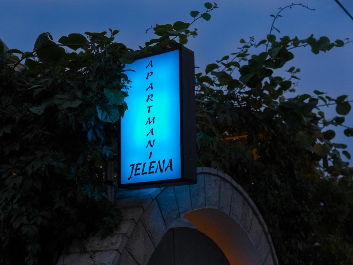 Villa Jelena トレビニエ エクステリア 写真